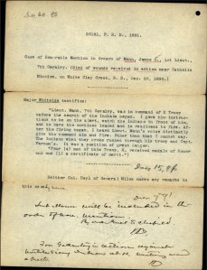 heyl investigation case mann - mann